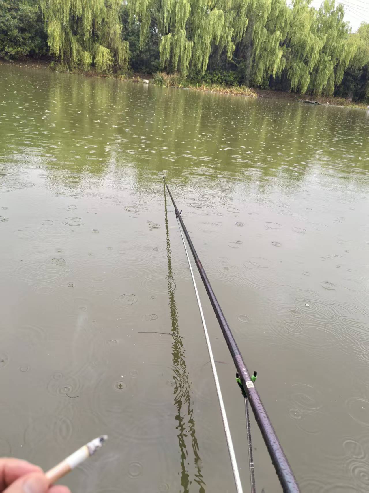 测试